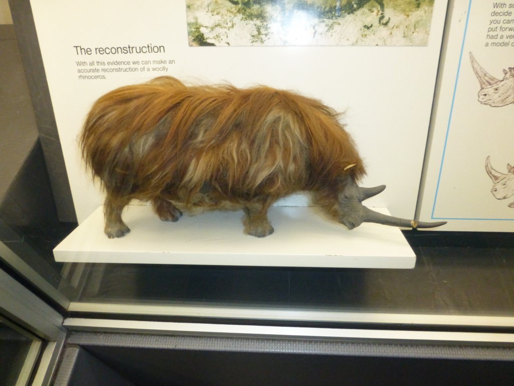 naturalhistorymuseum18.jpg